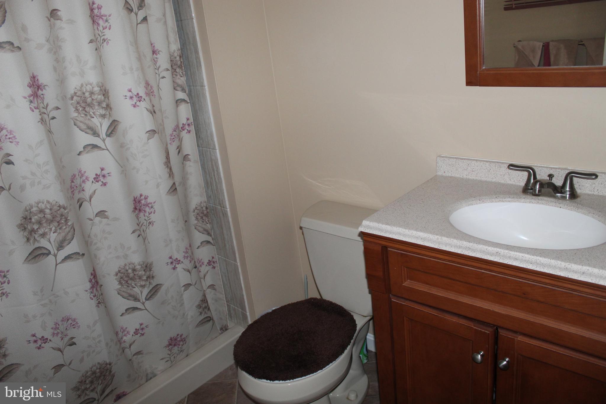 1763 Slaughter Station Road Hartly, DE 19953 - Photo 25 of 34 Master Bath