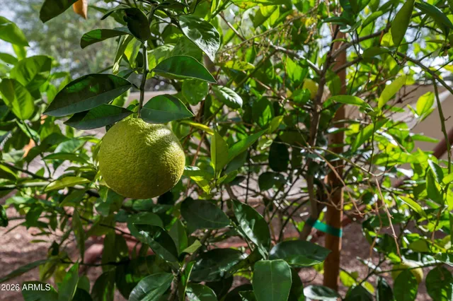 $4,250,000 | 7969 East Baker Drive, Scottsdale, AZ 85266