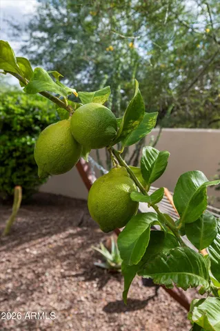 $4,250,000 | 7969 East Baker Drive, Scottsdale, AZ 85266