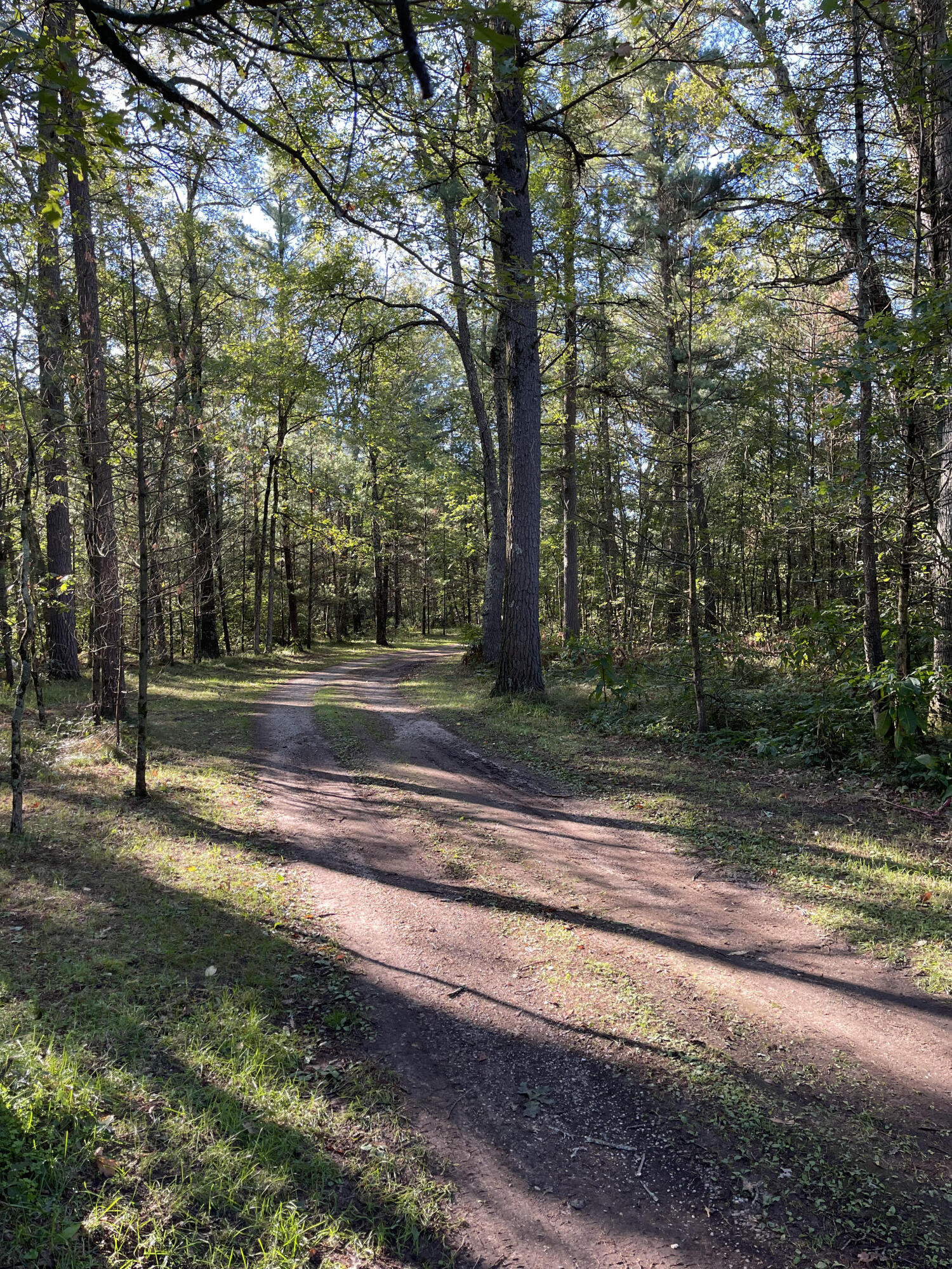 2680 Brunswick Road Holton, MI 49425 - Photo 38 of 45 driveway4