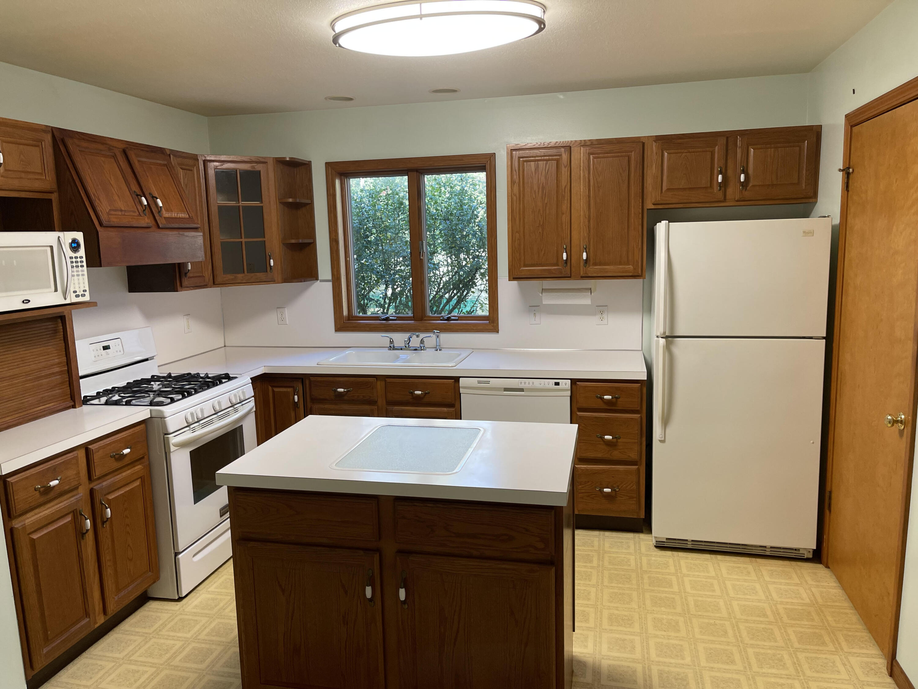 2680 Brunswick Road Holton, MI 49425 - Photo 6 of 45 Kitchen close up