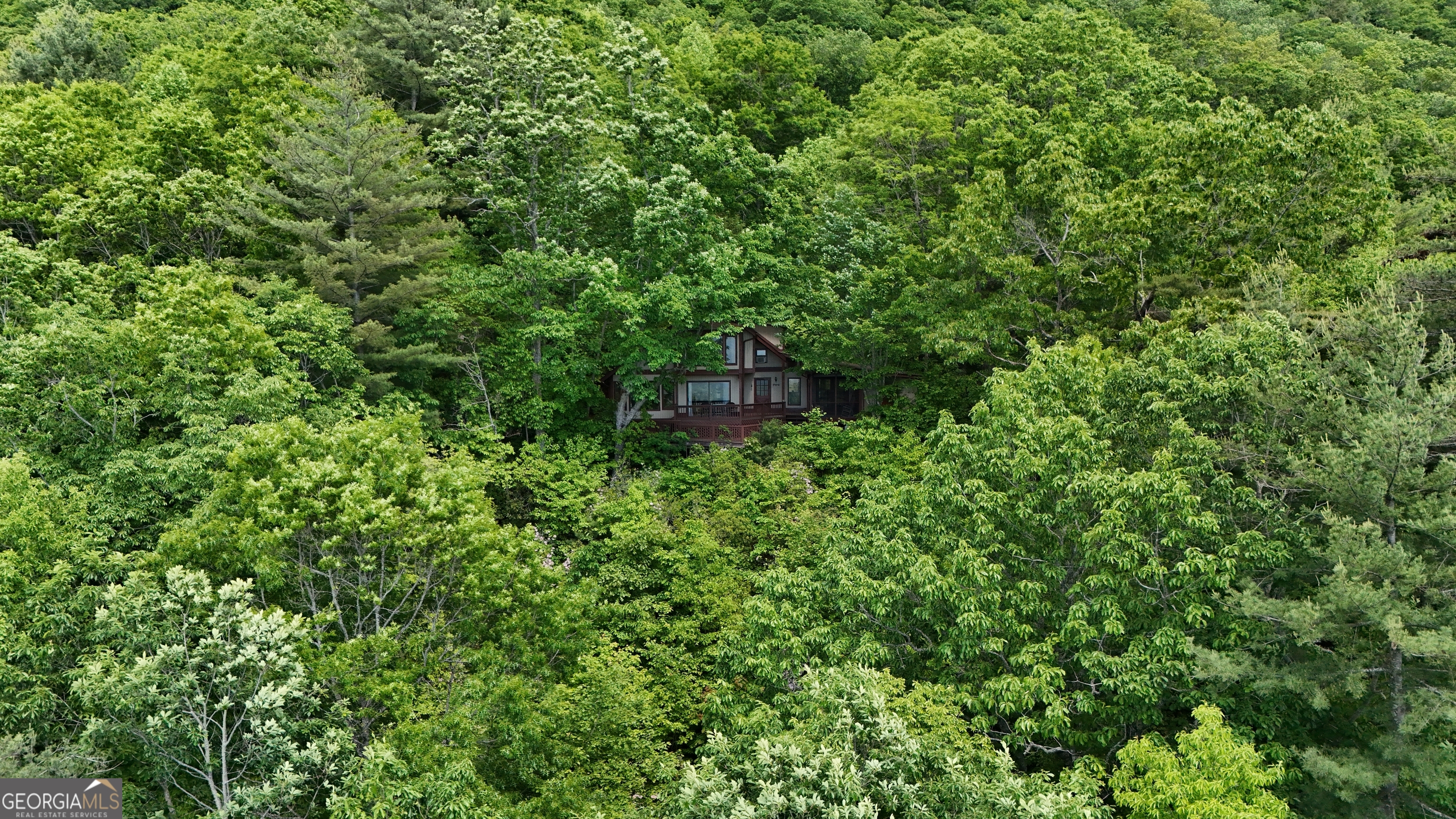 1491 Black Branch Road Rabun Gap, GA 30568 - Photo 61 of 62