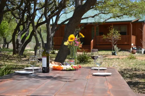 a view of yard in front of house