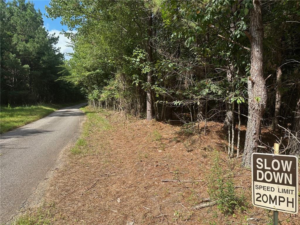 0 Lee Mashburn Road Dahlonega, GA 30533 - Photo 19 of 19