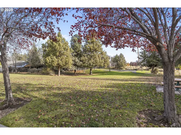 a view of outdoor space with deck and yard