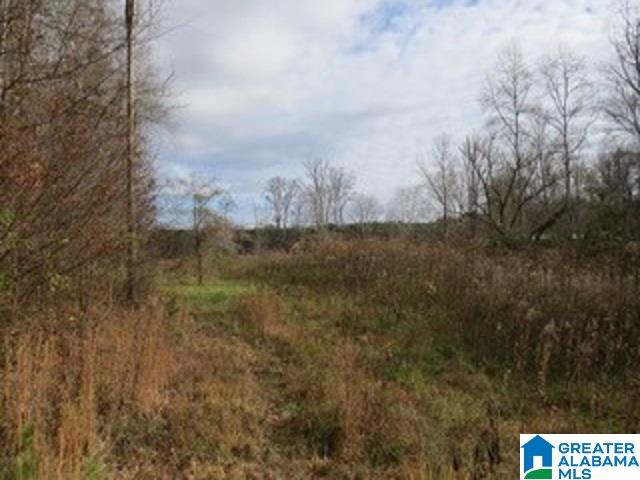 436 County Road, Unit 41 87 Muscadine, AL 36269 - Photo 8 of 8