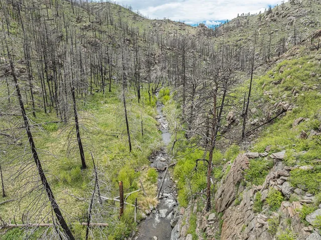 a view of a garden with a bench