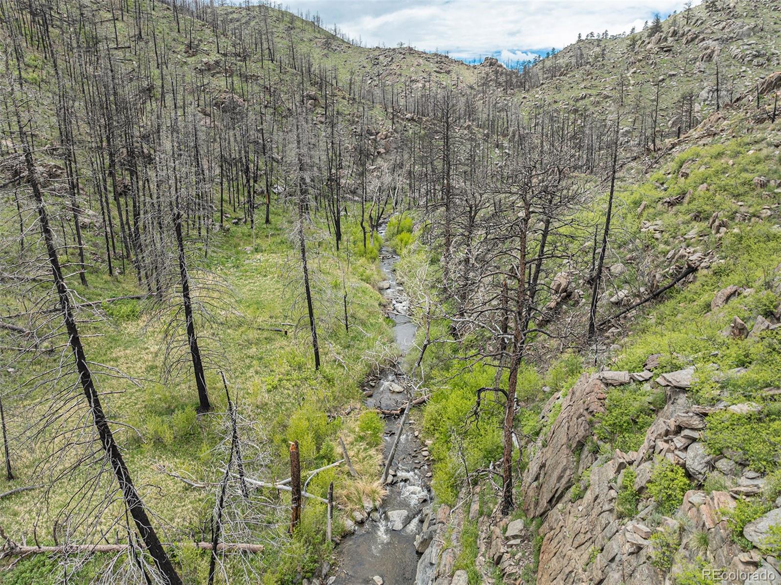 439 Redtail Ridge Way Bellvue, CO 80512 - Photo 14 of 20 a view of lake view