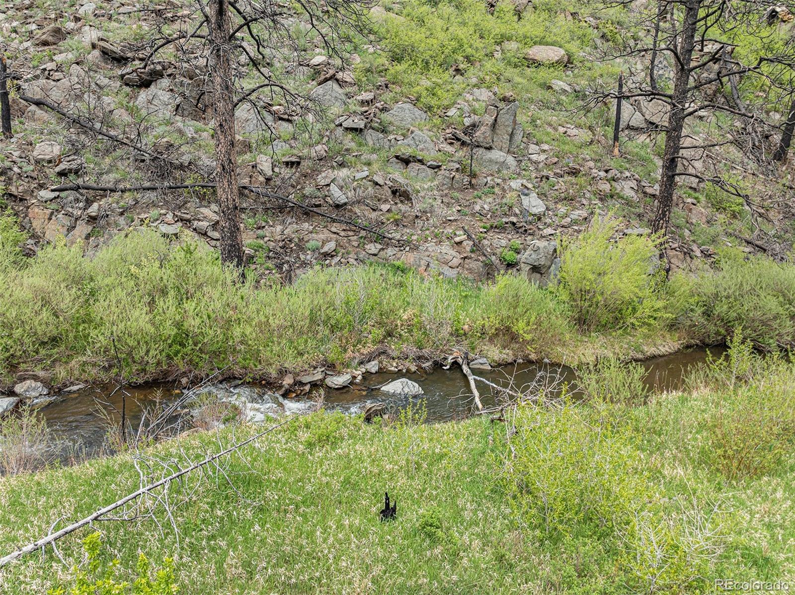 439 Redtail Ridge Way Bellvue, CO 80512 - Photo 15 of 20 a view of a garden with a bench