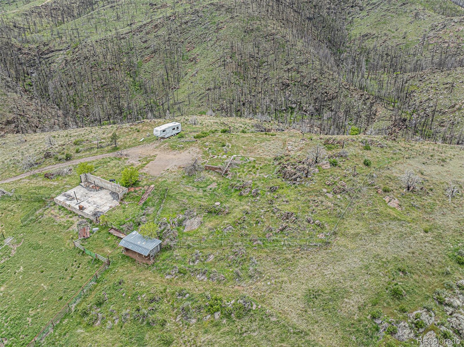 439 Redtail Ridge Way Bellvue, CO 80512 - Photo 16 of 20 a view of garden with small space