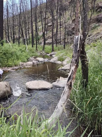 a view of a lake with lots of trees