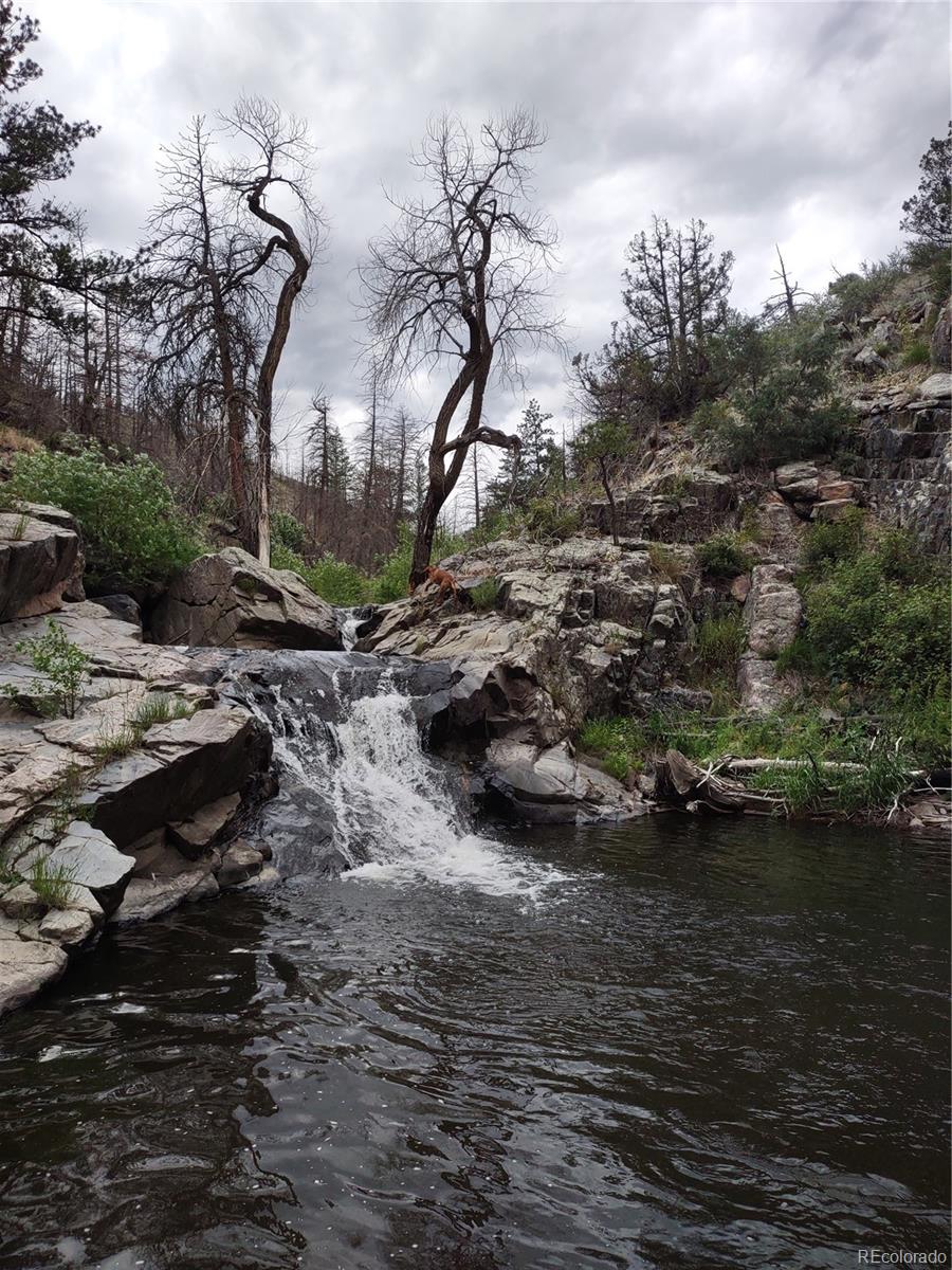 439 Redtail Ridge Way Bellvue, CO 80512 - Photo 8 of 20 a view of a lake with lots of trees