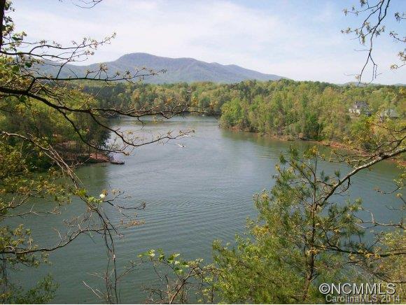Tract #5 Tract Road Mill Spring, NC 28756 - Photo 2 of 18