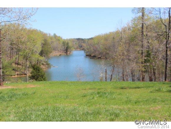 Tract #5 Tract Road Mill Spring, NC 28756 - Photo 12 of 18