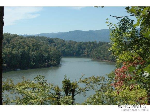 Tract #5 Tract Road Mill Spring, NC 28756 - Photo 17 of 18