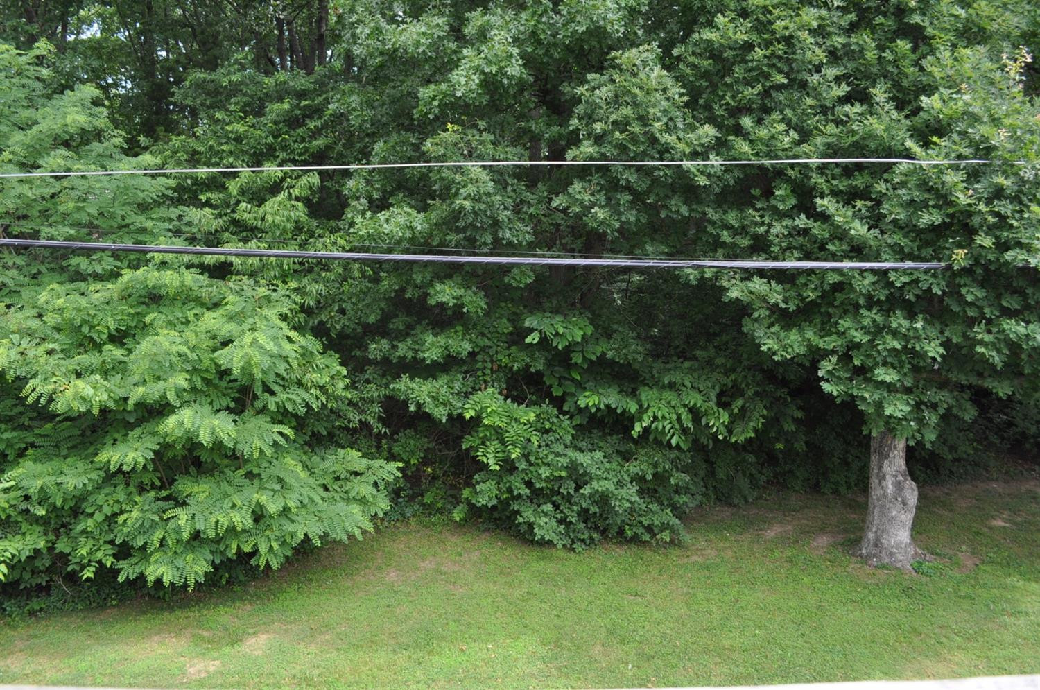 421 Harrodswood Road Frankfort, KY 40601 - Photo 13 of 14 Photo 13
