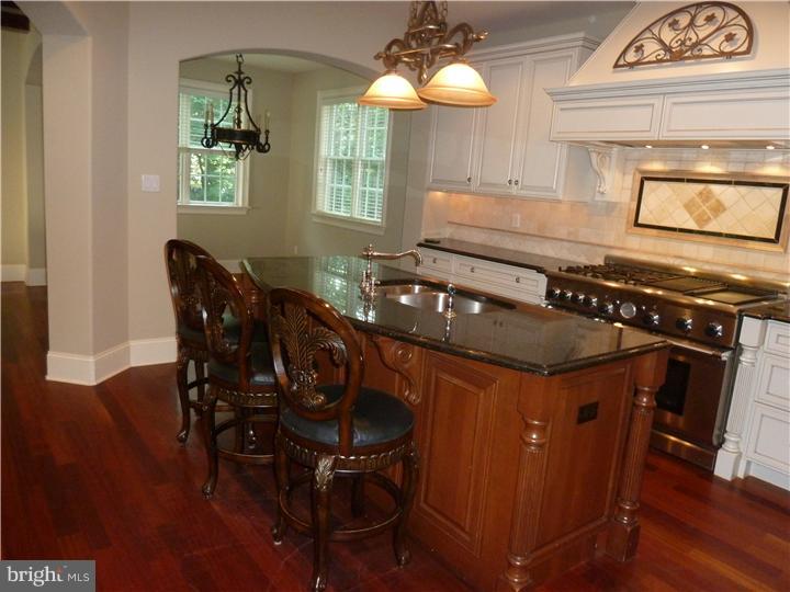 316 Chamounix Road Wayne, PA 19087 - Photo 5 of 14 Kitchen