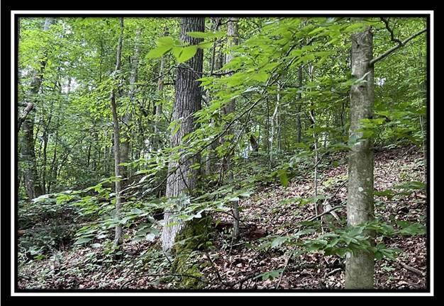 0 Old Union Road Ironton, OH 45638 - Photo 32 of 65 image032