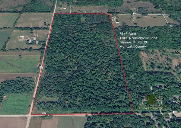 $490,000 | 11000 North Vickeryville Road, Vestaburg, MI 48891
