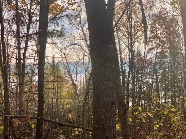 $119,900 | 4 County 4, Lake George, MN 56458