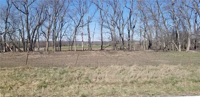 $540,000 | 307th & S State Route, Cleveland, MO 64734