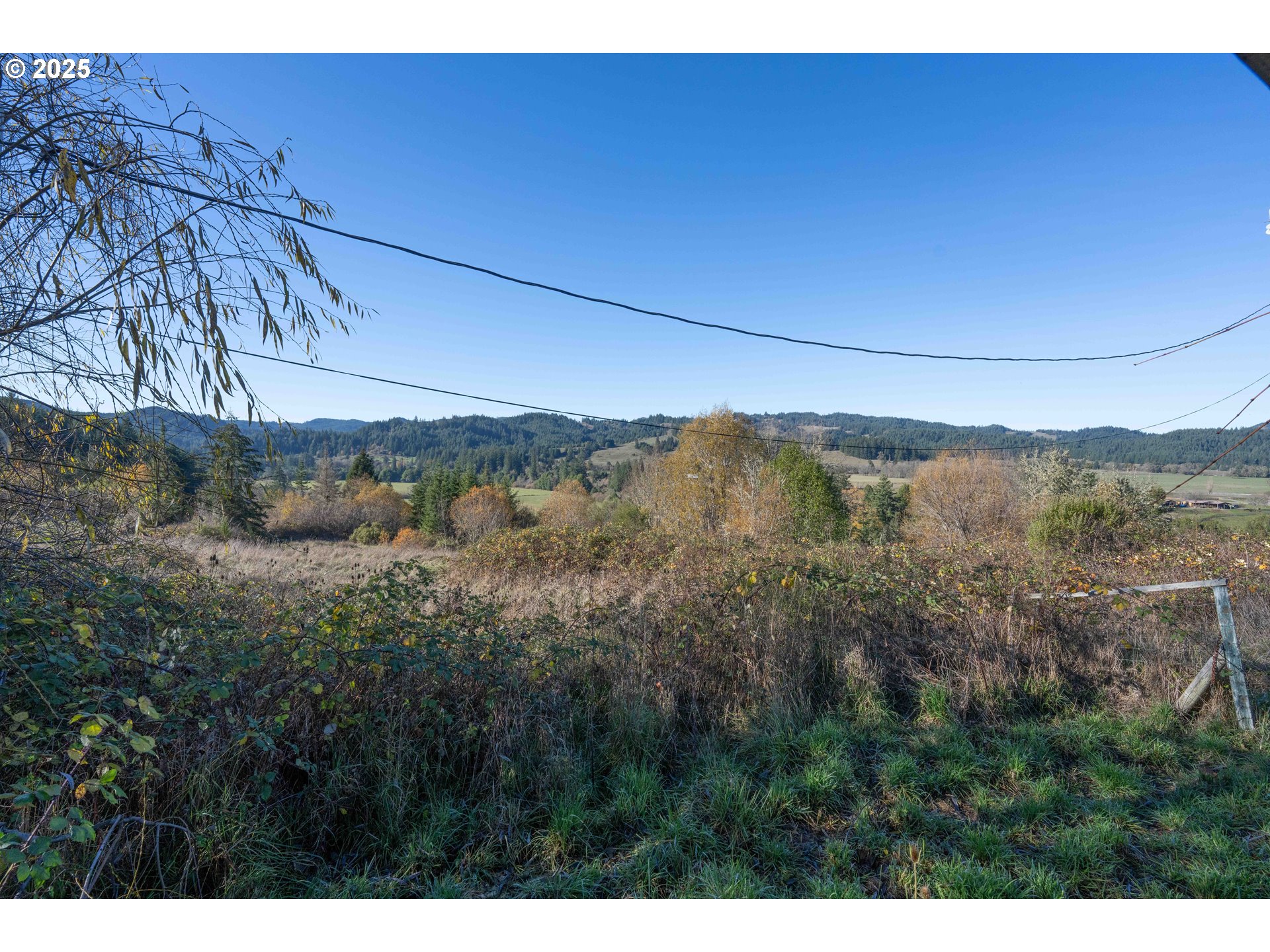 45275 Highway 242 Myrtle Point, OR 97458 - Photo 11 of 20