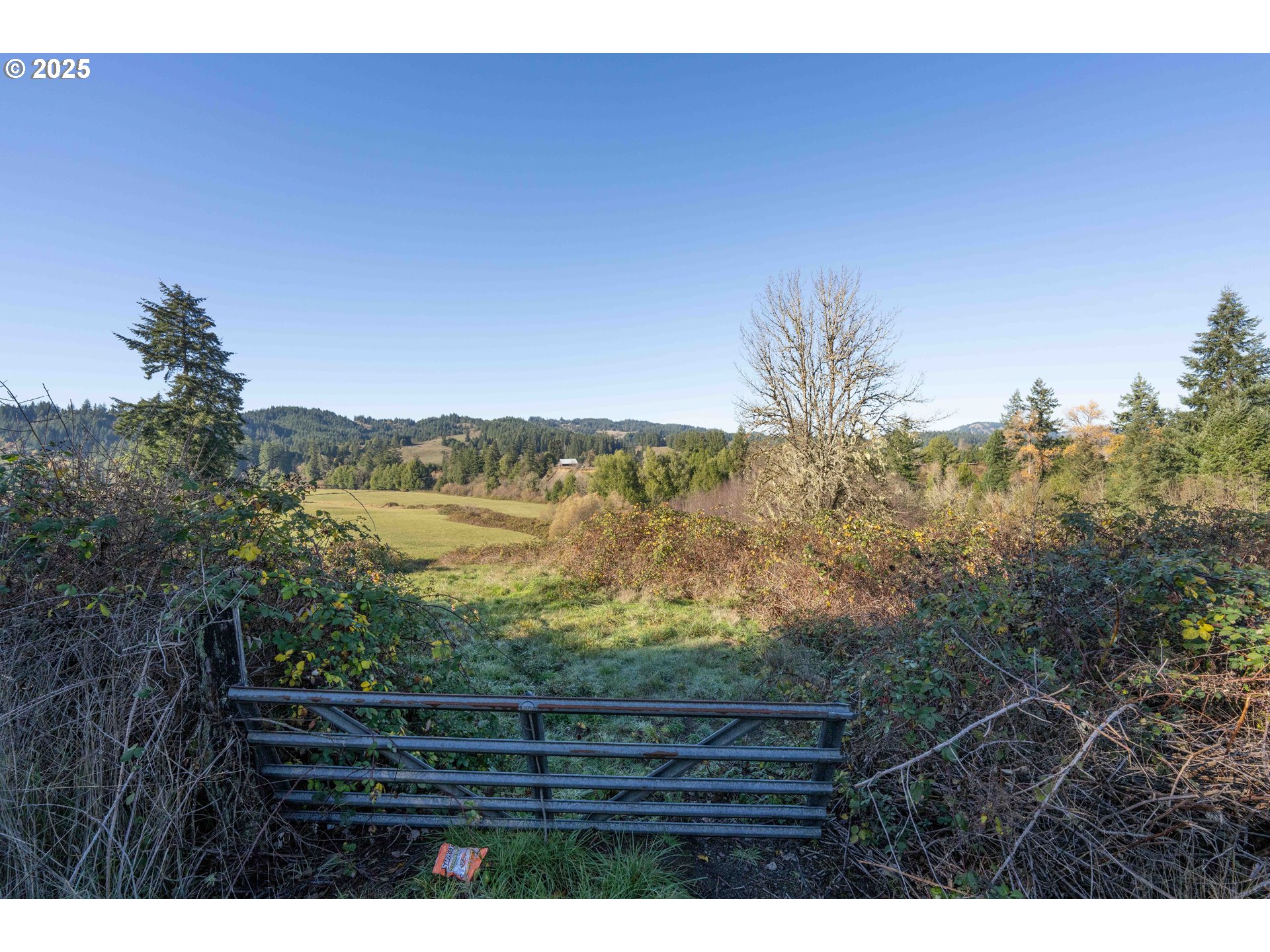 45275 Highway 242 Myrtle Point, OR 97458 - Photo 13 of 20