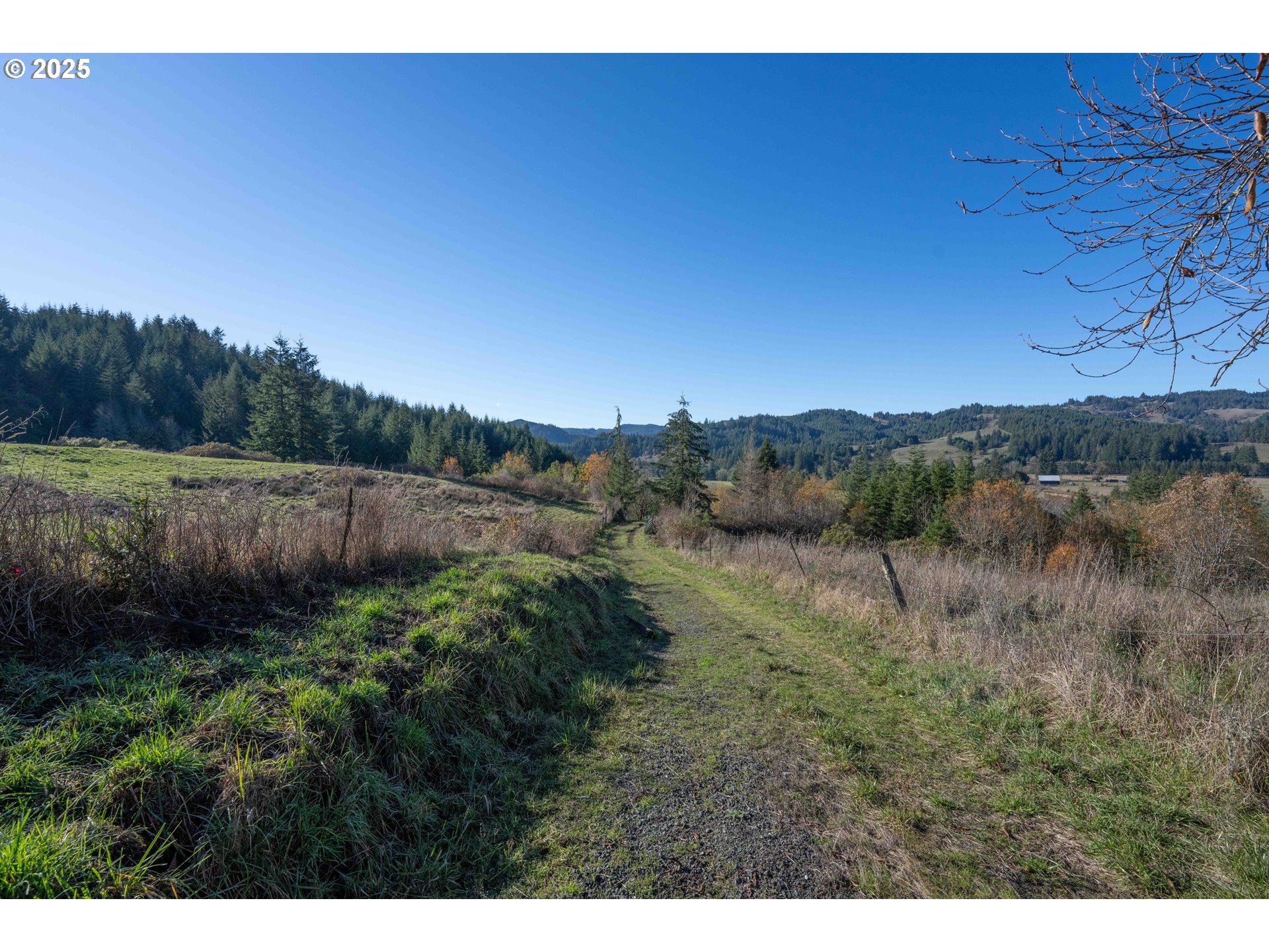 45275 Highway 242 Myrtle Point, OR 97458 - Photo 4 of 20