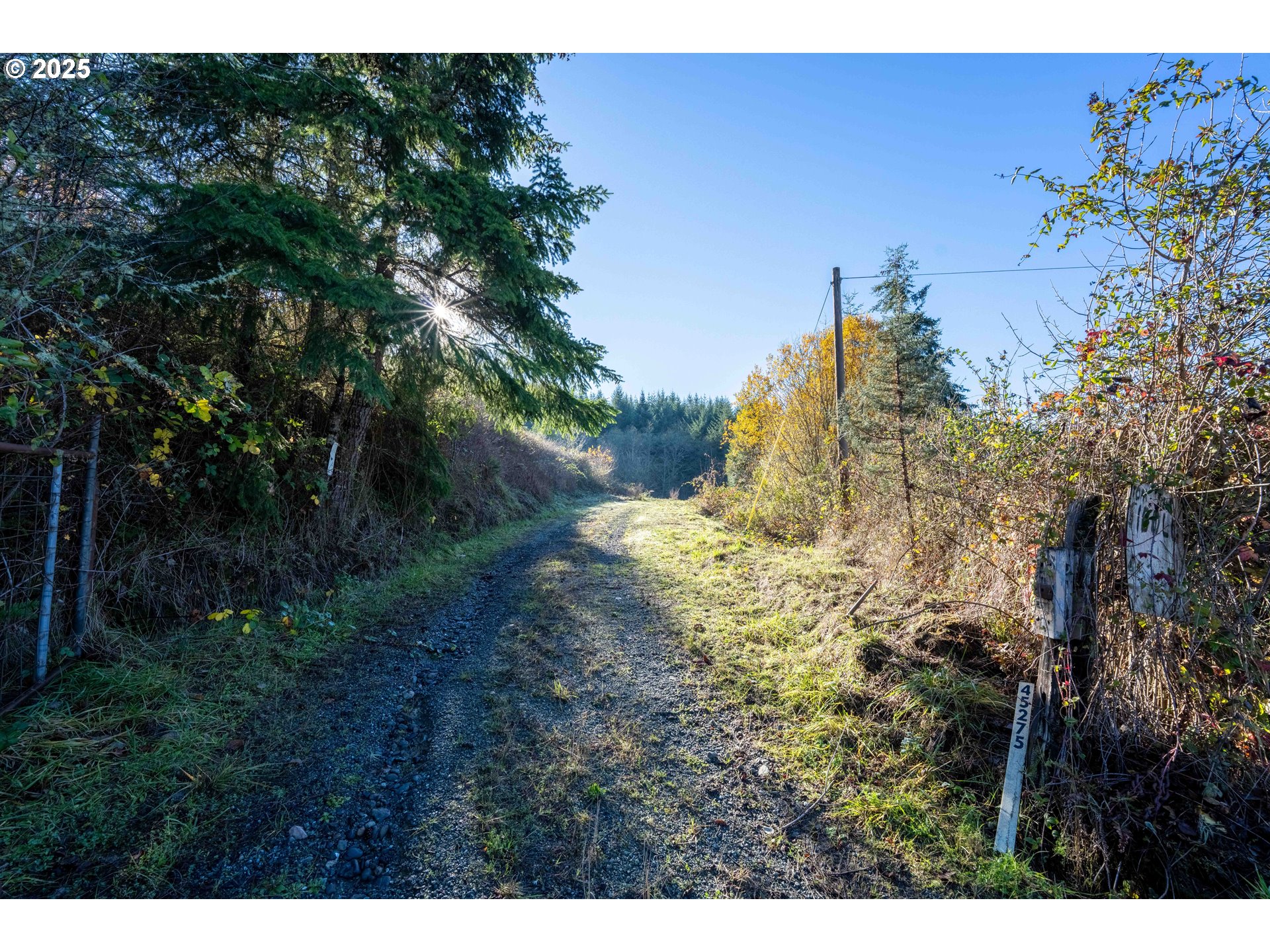 45275 Highway 242 Myrtle Point, OR 97458 - Photo 6 of 20