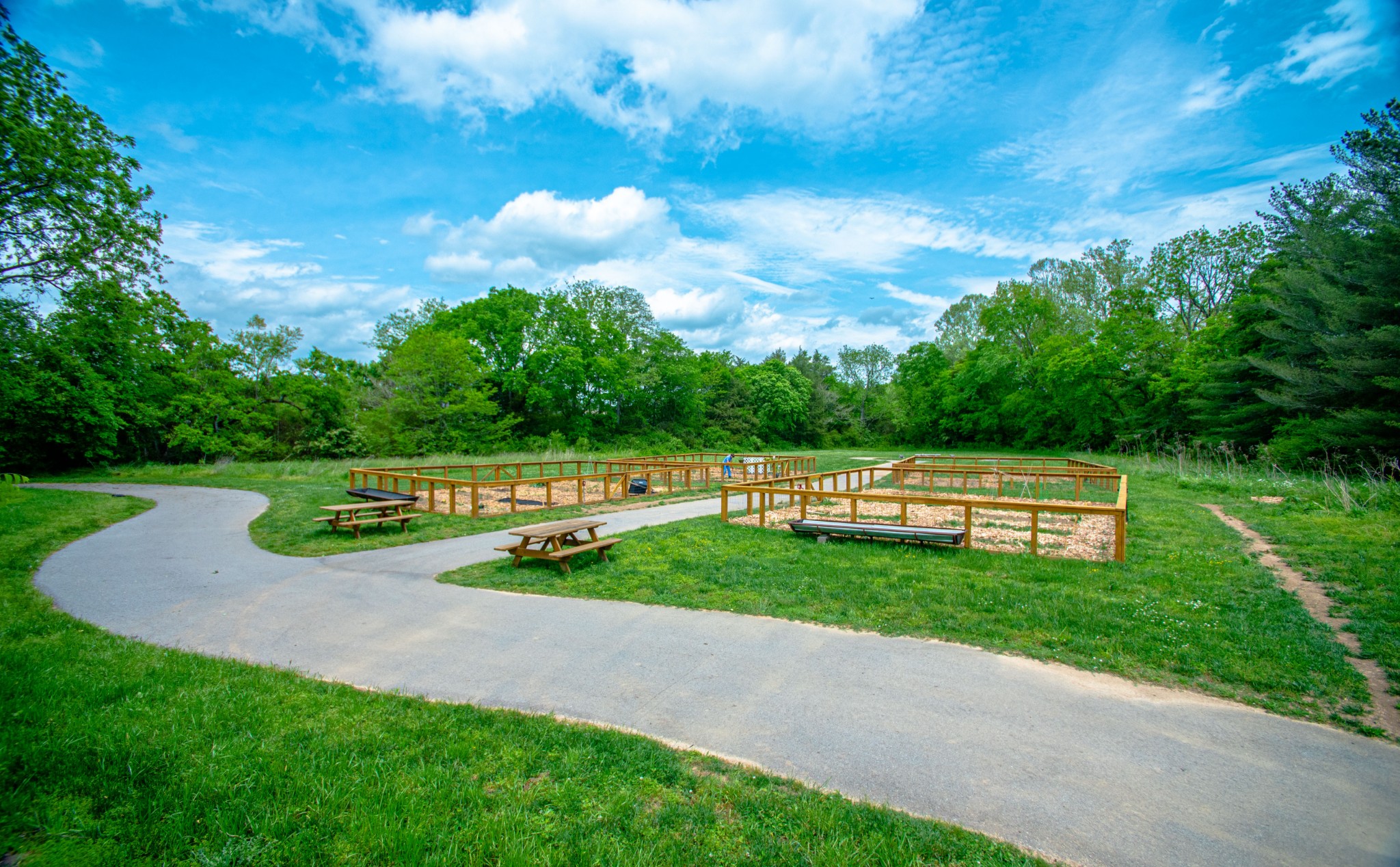 7020 Kinderhook Road Nashville, TN 37221 - Photo 29 of 37 a view of a park with large trees
