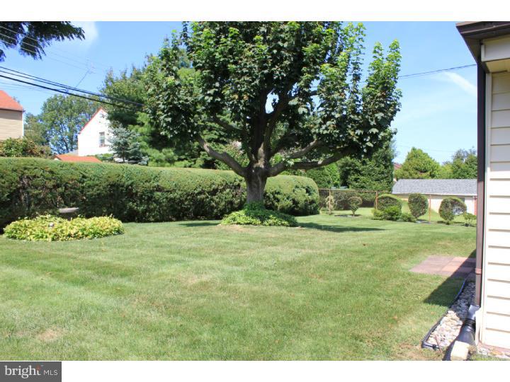 118 Harned Road Springfield, PA 19064 - Photo 7 of 25 a view of a backyard of the house