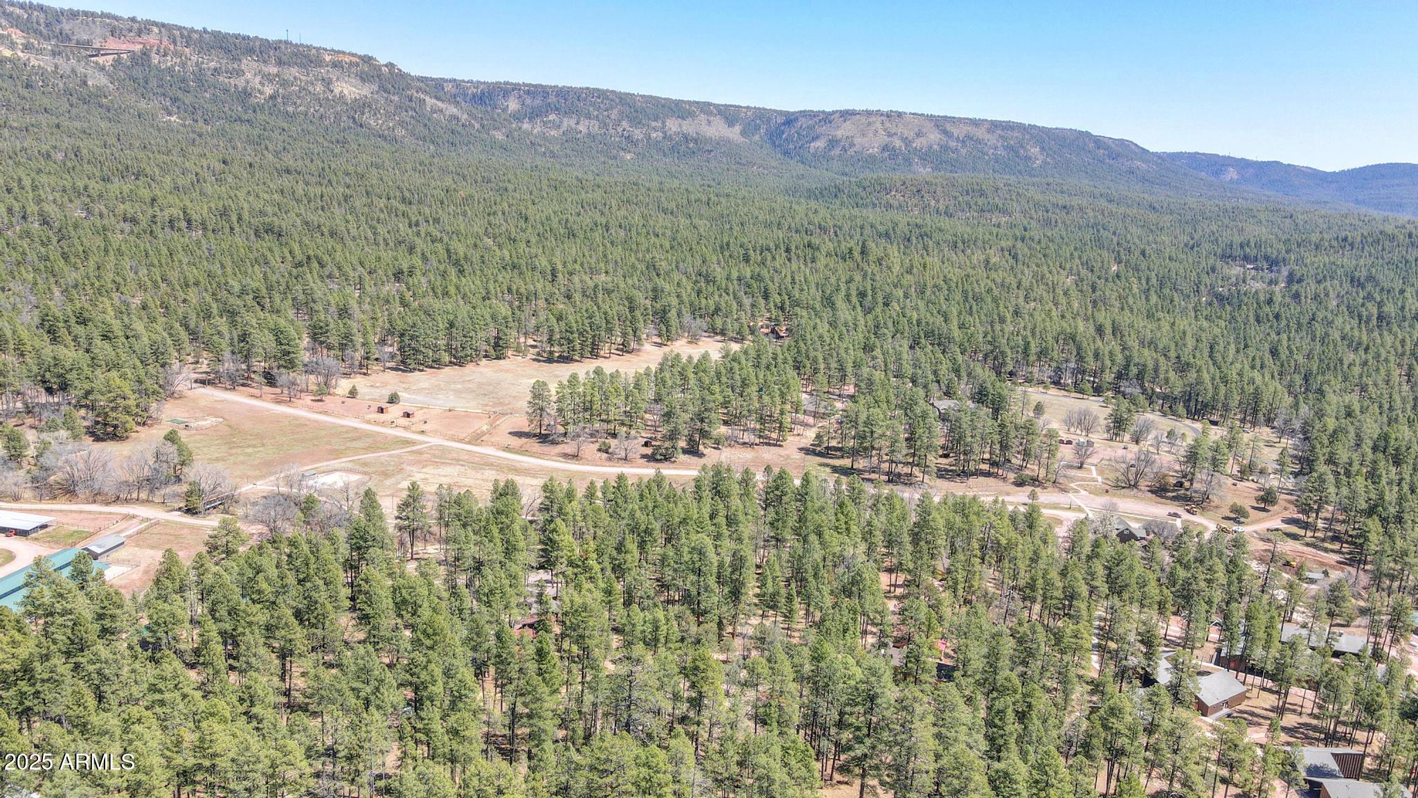 a view of a lush green hillside and houses