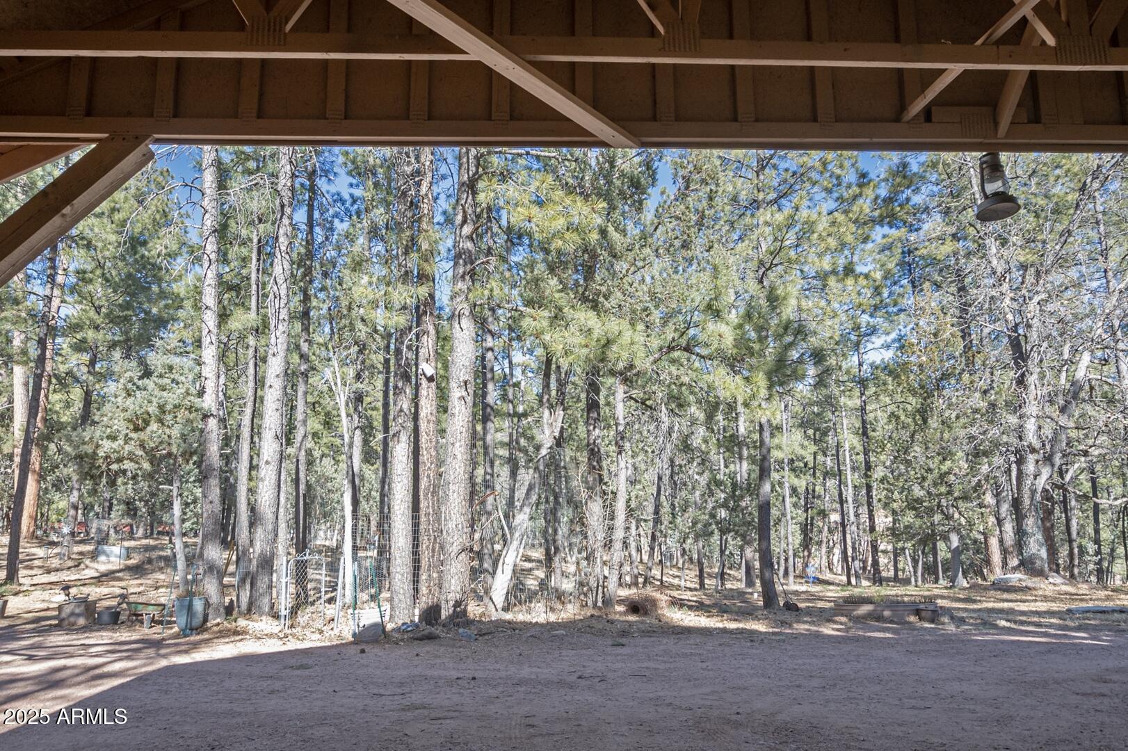 1103 East Ranch Road Payson, AZ 85541 - Photo 51 of 79 IMG_ 31