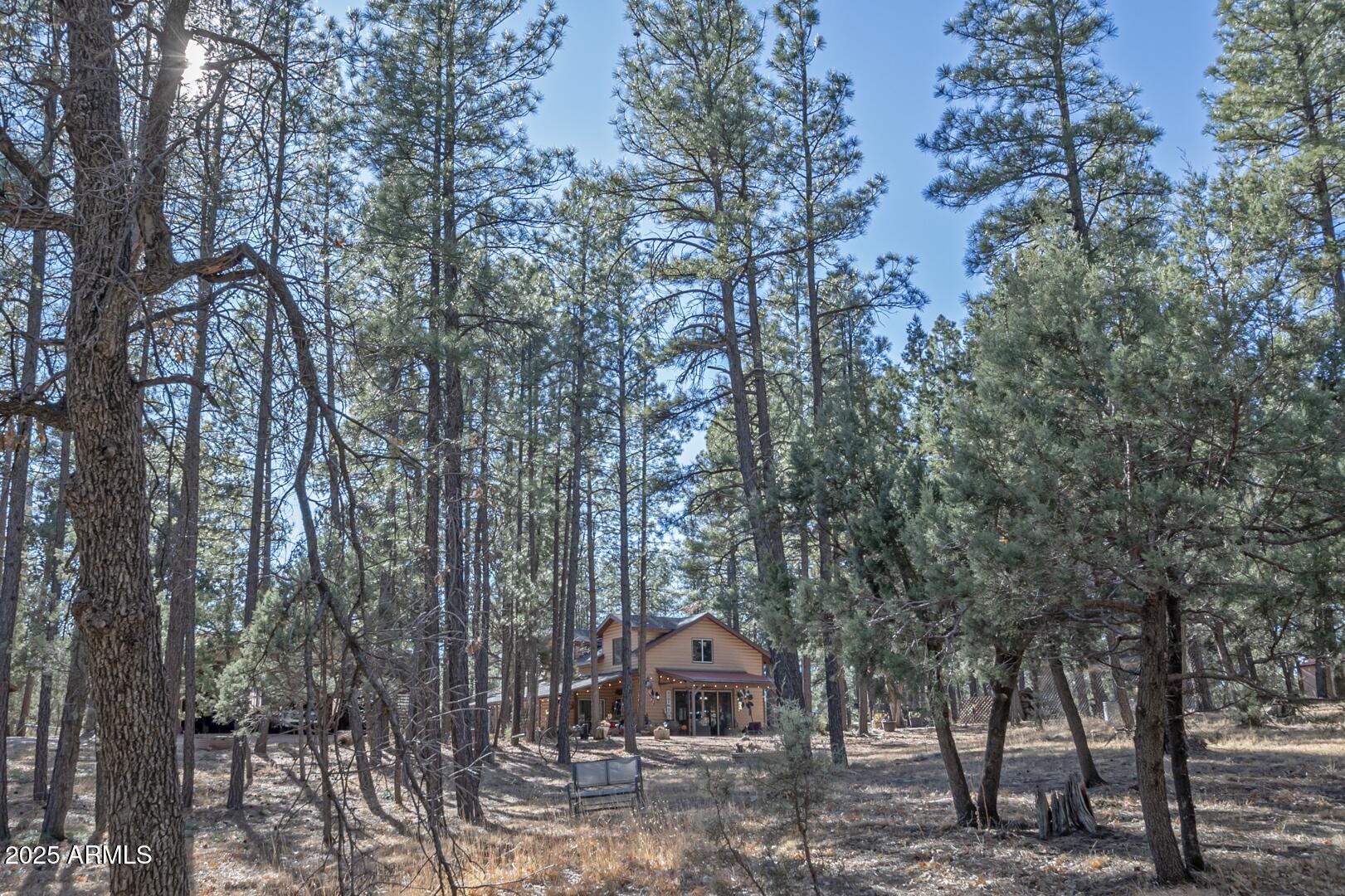 1103 East Ranch Road Payson, AZ 85541 - Photo 61 of 74 IMG_ 53
