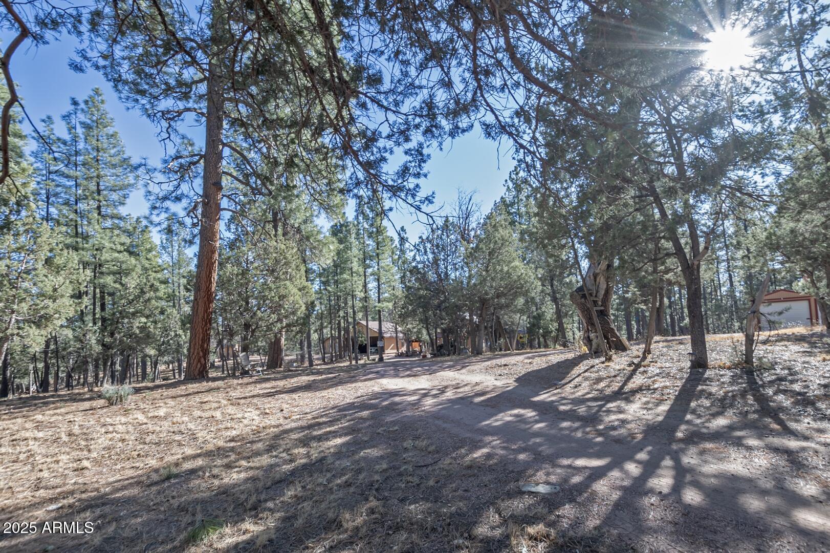 1103 East Ranch Road Payson, AZ 85541 - Photo 67 of 79 IMG_ 55