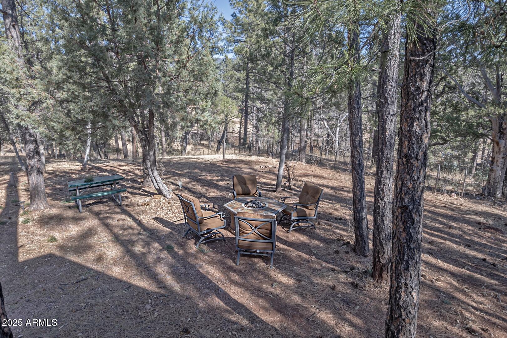 1103 East Ranch Road Payson, AZ 85541 - Photo 68 of 79 IMG_ 56