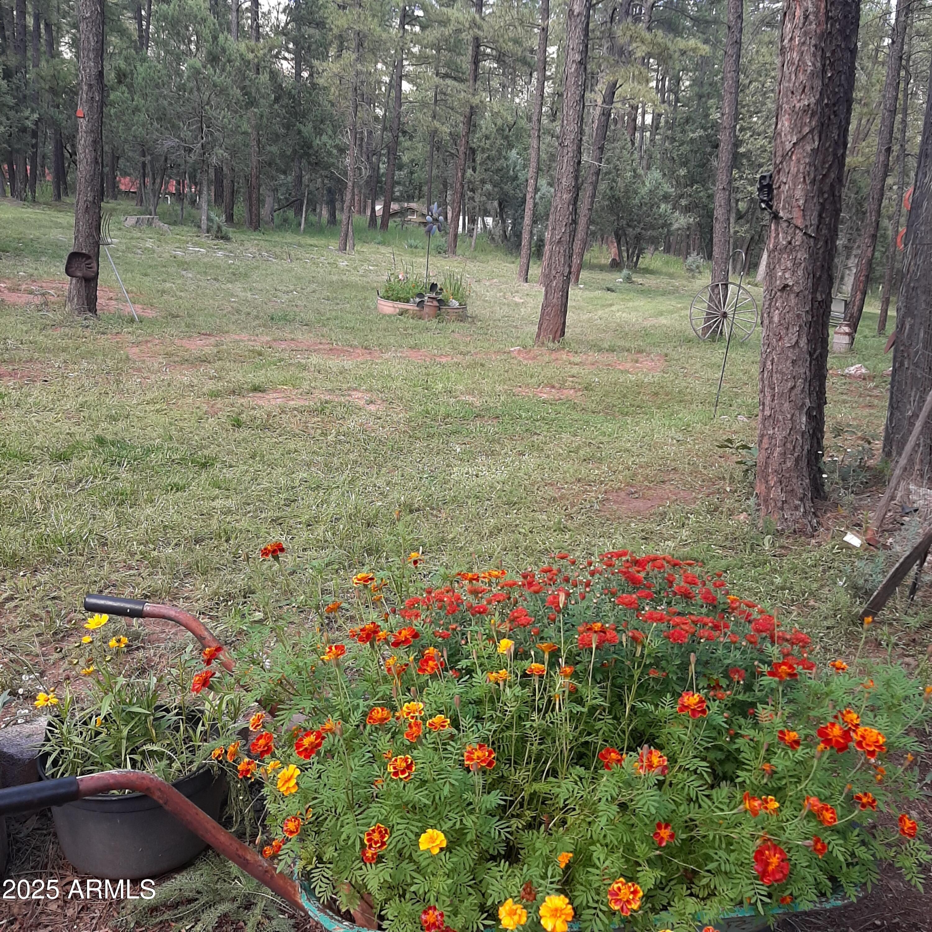 1103 East Ranch Road Payson, AZ 85541 - Photo 74 of 74 a view of a garden with flowers and tree