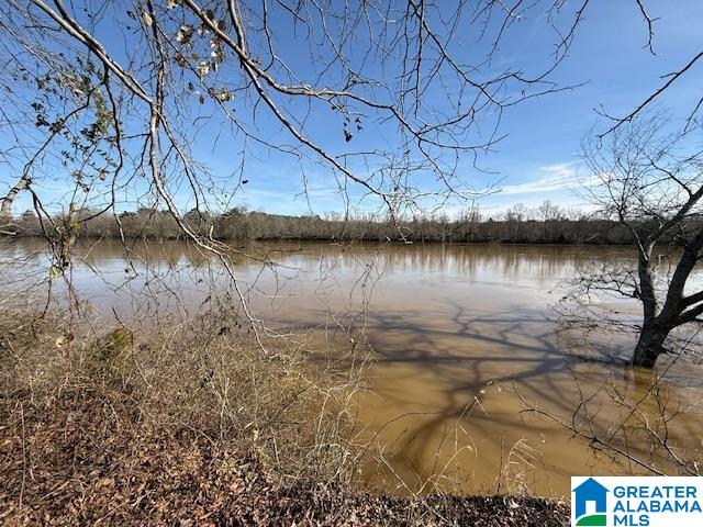 2247 Lock 3 Road Ragland, AL 35131 - Photo 1 of 4