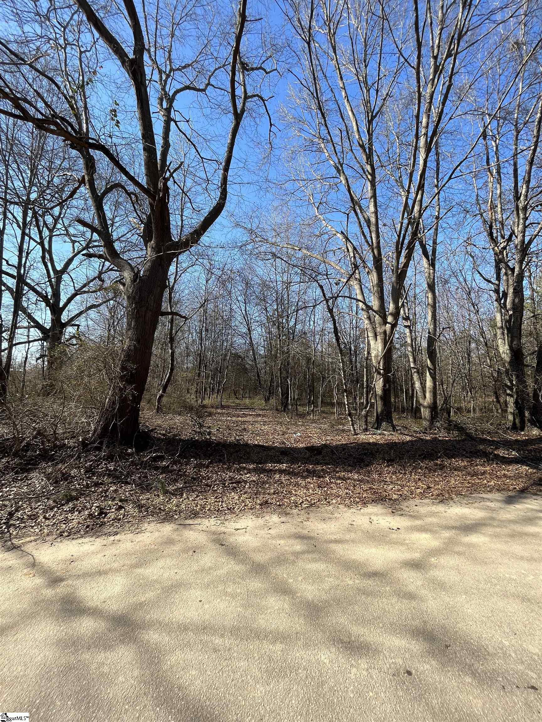 Augusta Road Pelzer, SC 29669 - Photo 2 of 10