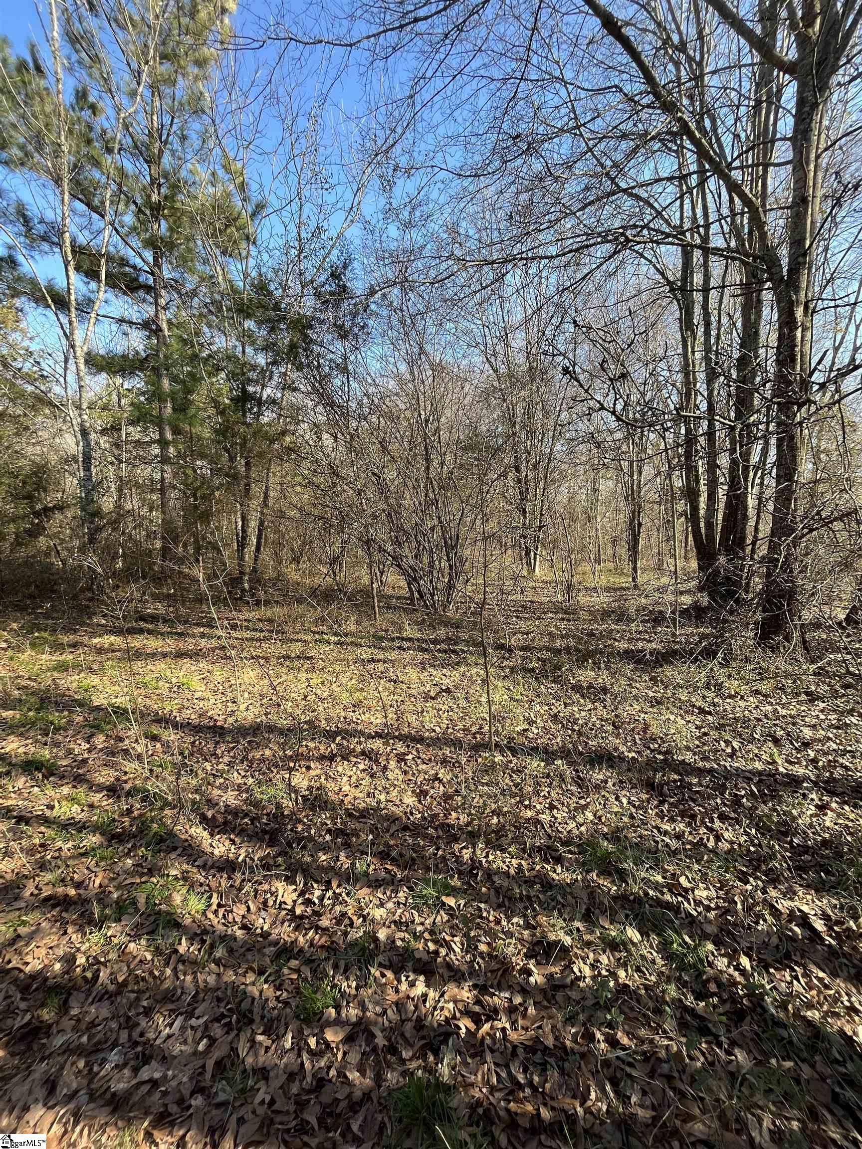 Augusta Road Pelzer, SC 29669 - Photo 5 of 10