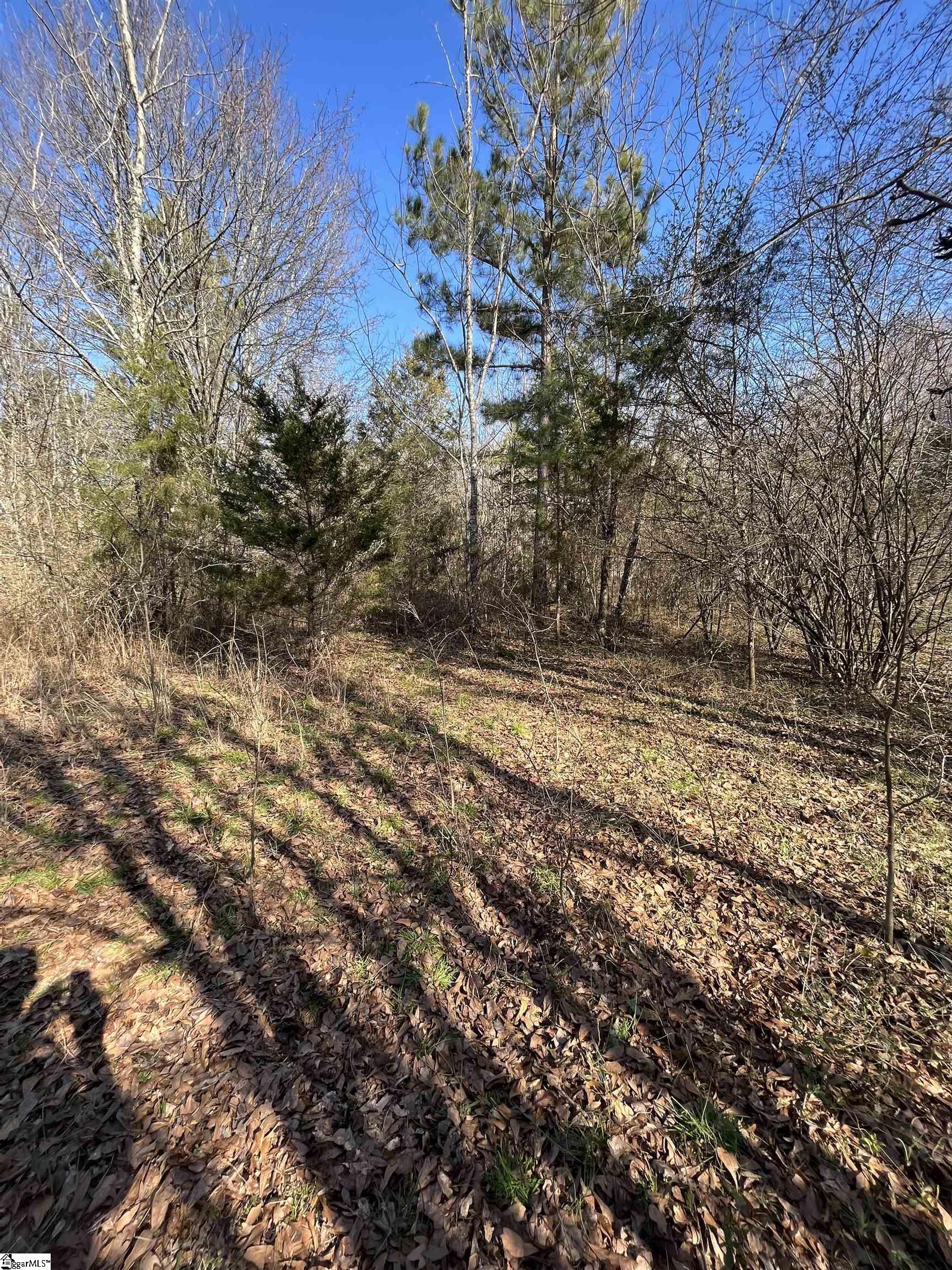 Augusta Road Pelzer, SC 29669 - Photo 6 of 10