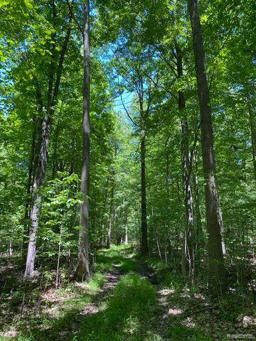 V/l Underwood Road Caro, MI 48723 - Photo 8 of 13