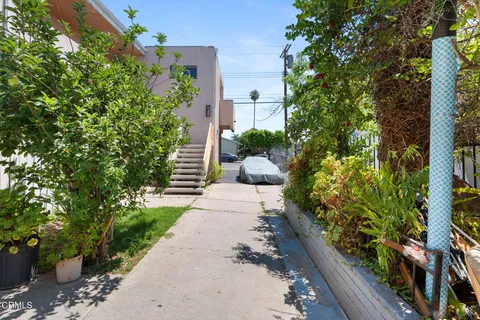 a view of a pathway with flower plants