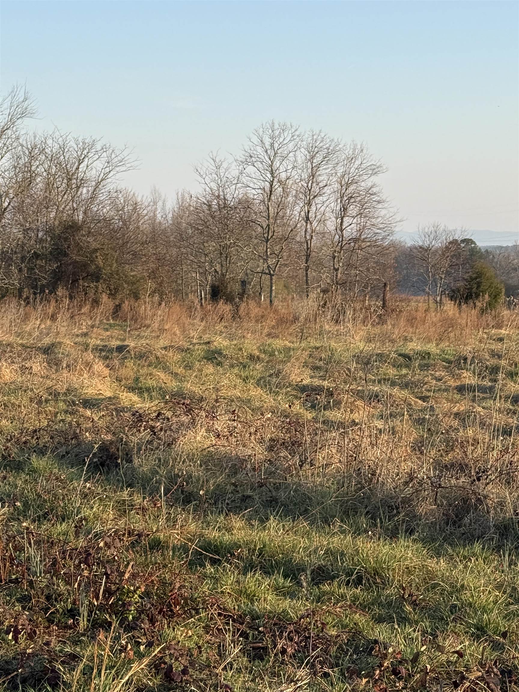 Carolina Ridge Road Gaffney, SC 29341 - Photo 2 of 4