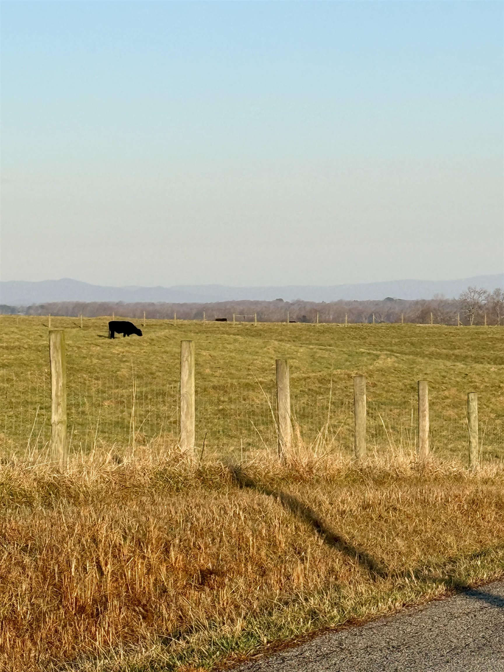 Carolina Ridge Road Gaffney, SC 29341 - Photo 4 of 4