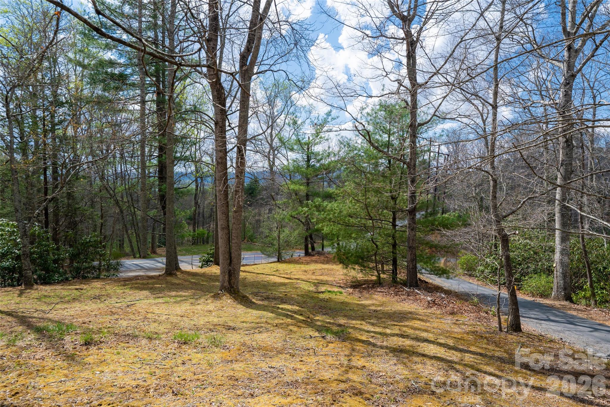 233 Church Road Fairview, NC 28730 - Photo 38 of 43