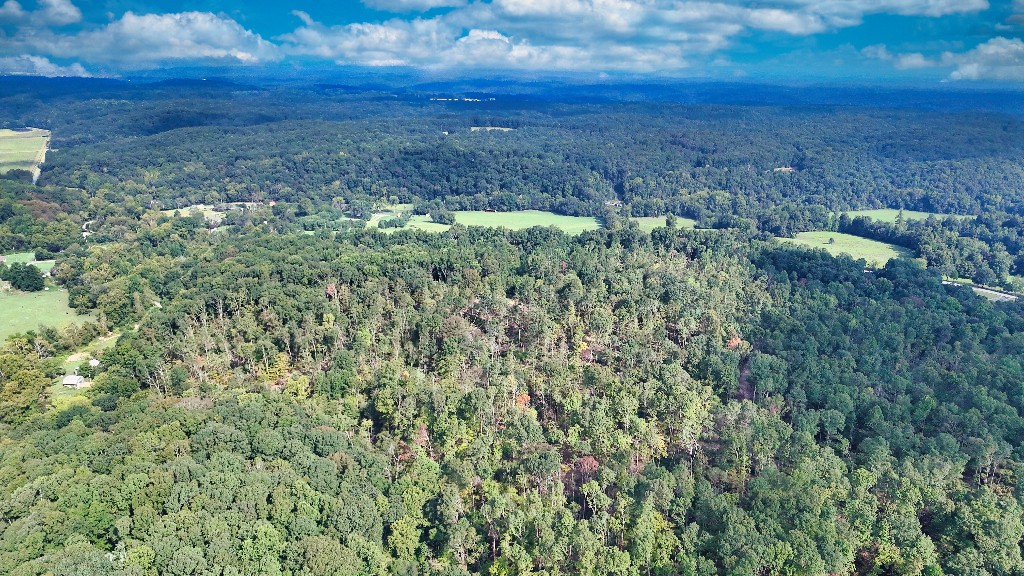 0 Baker Hollow Road Nunnelly, TN 37137 - Photo 4 of 15 Gallery Image 4
