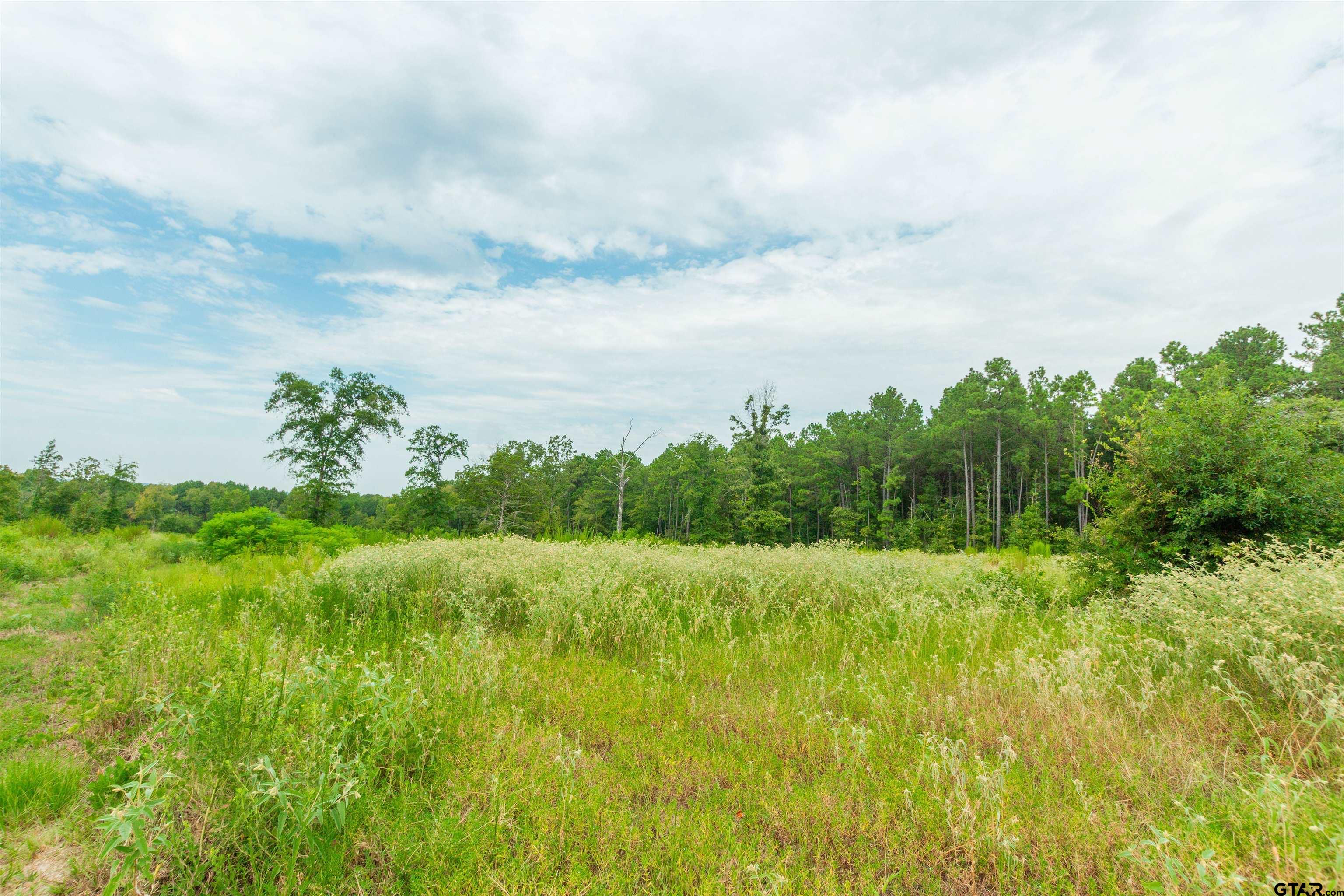 2450 Red Maple Road Big Sandy, TX 75755 - Photo 9 of 16 Gallery Image 9