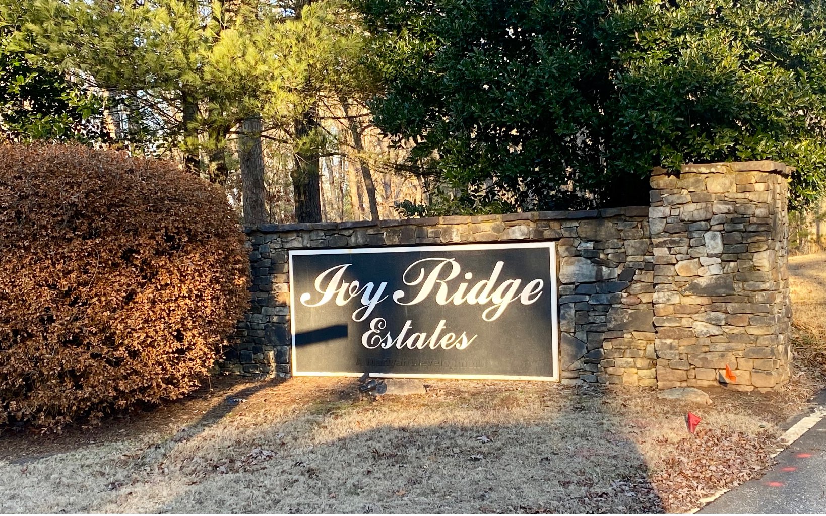 Lot19 Arbor Way Blue Ridge, GA 30513 - Photo 3 of 4 Additional View
