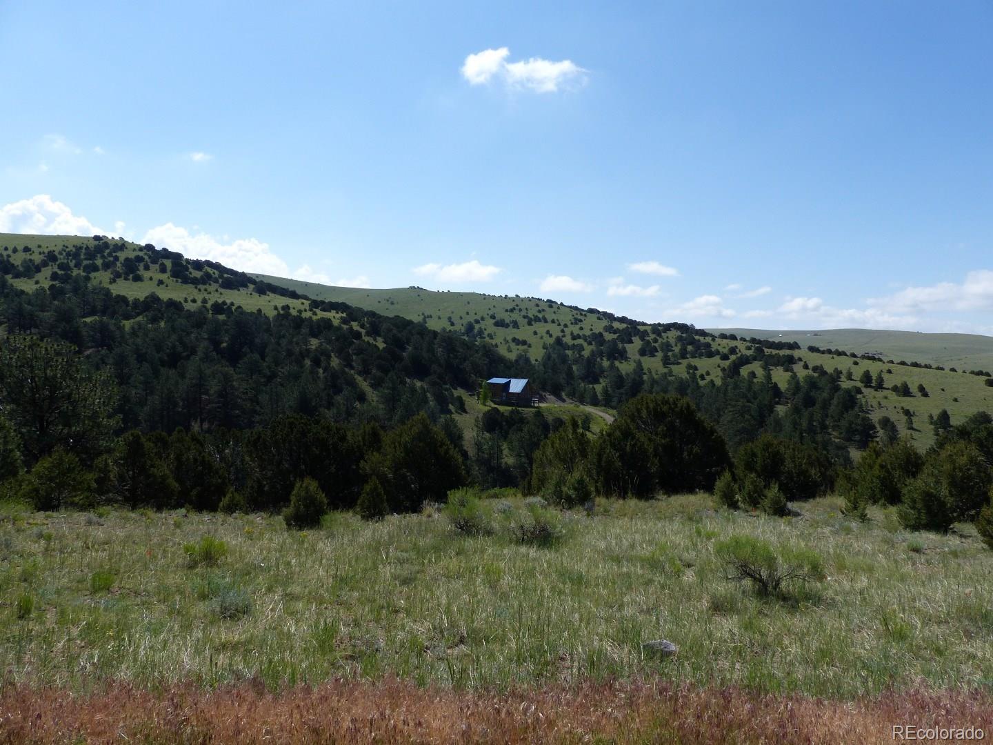225 Timber Ridge Road Westcliffe, CO 81252 - Photo 2 of 26 a view of city and green space